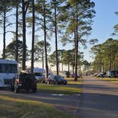Review photo of Meaher State Park Campground by Kloee S., March 11, 2022