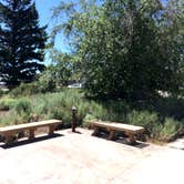 Review photo of Lava Flow Campground — Craters of the Moon National Monument by Corinna B., October 1, 2017