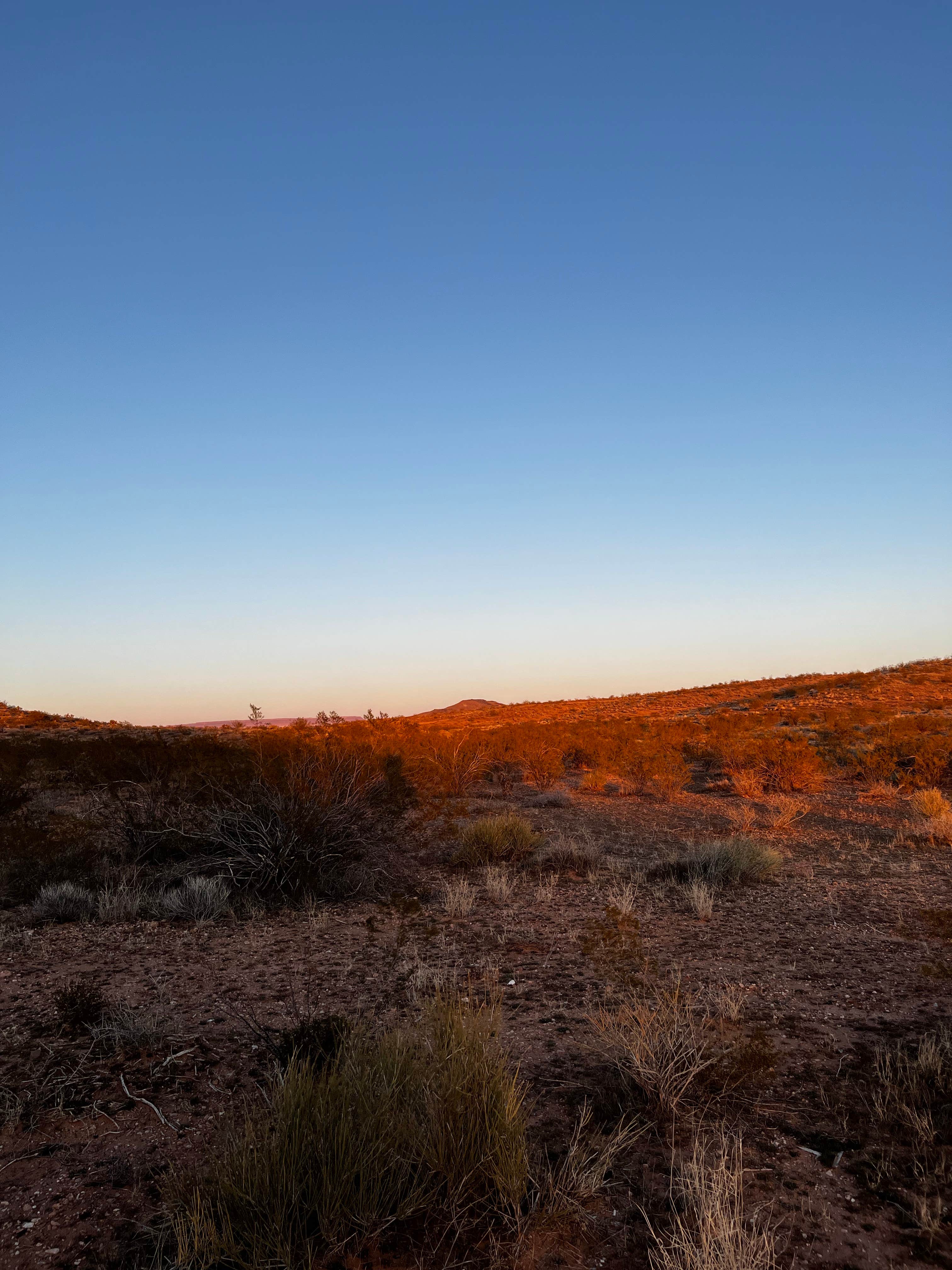 Camper-submitted photo at Mount Trumbull Loop Dispersed near Gunlock, UT