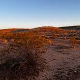 Review photo of Mount Trumbull Loop Dispersed by Ben , March 11, 2022