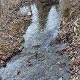 Review photo of Rocky Gap State Park Campground by Robin , March 11, 2022