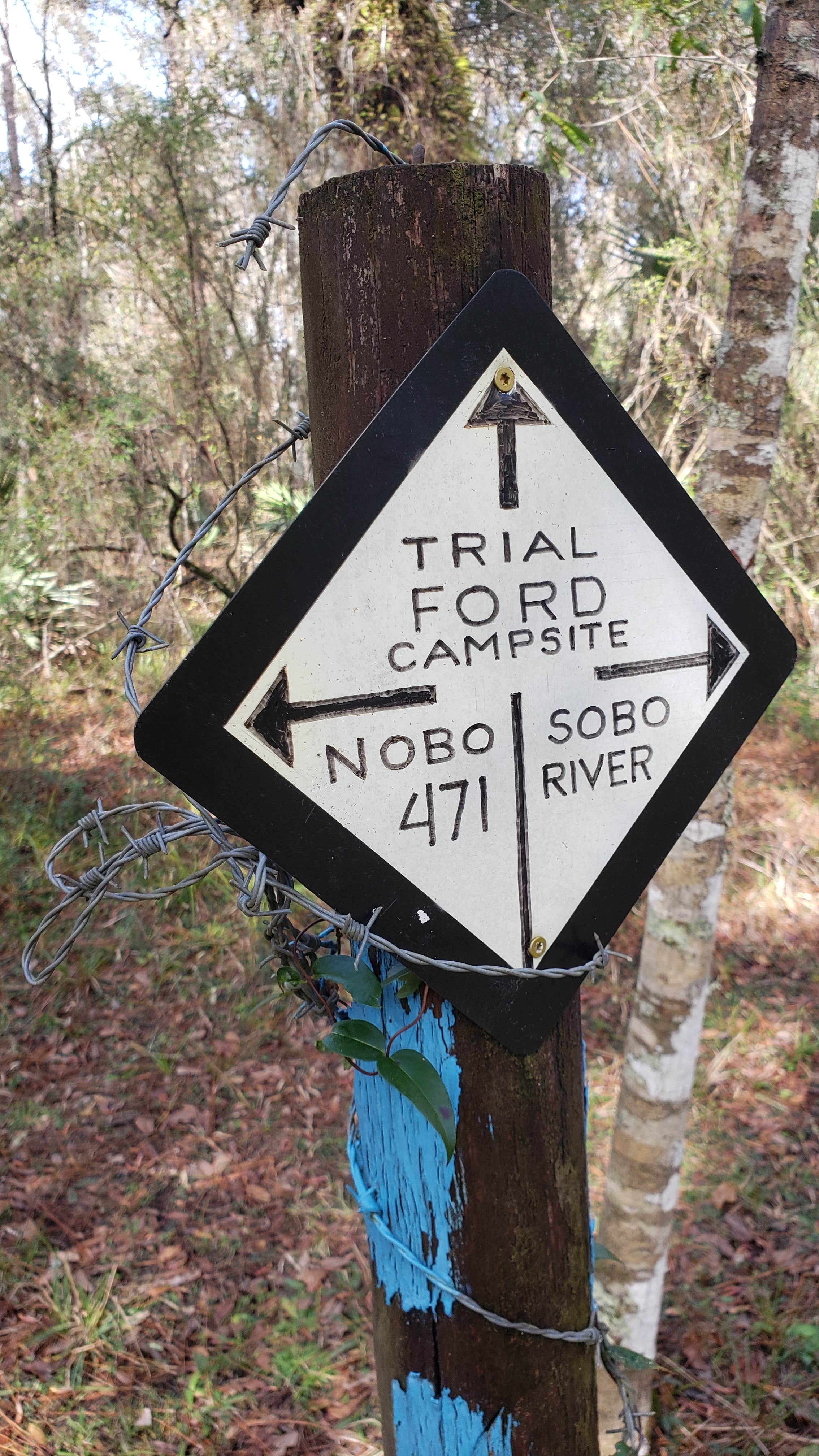 Camper-submitted photo at Green Swamp — East Tract near Groveland, FL