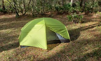 Camping near Green Swamp — Hampton Tract: Green Swamp — East Tract, Dade City, Florida