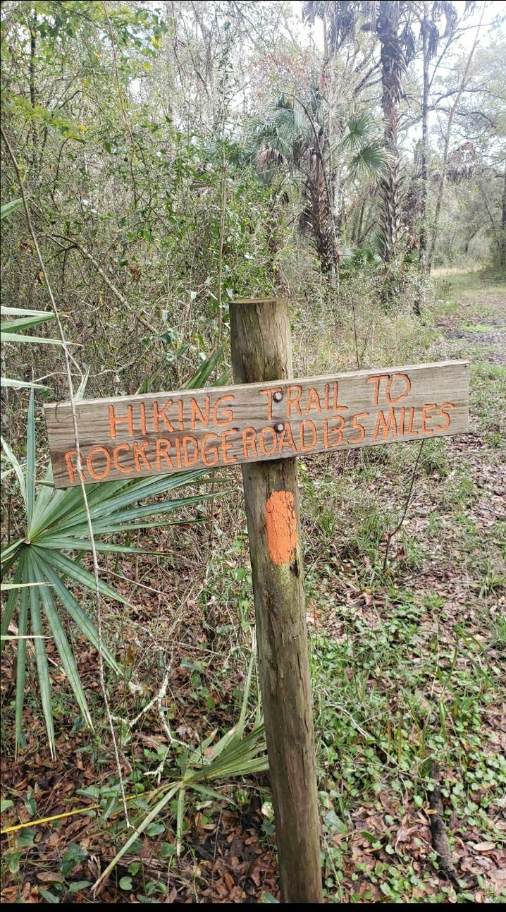 Camper-submitted photo at Green Swamp — East Tract near Groveland, FL
