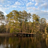 Review photo of Poinsett State Park Campground by Hannah W., March 11, 2022