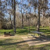 Review photo of Stephen Austin State Park by Laura M., March 11, 2022