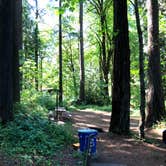 Review photo of Paradise Point State Park Campground by Corinna B., July 11, 2018