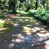 Review photo of Paradise Point State Park Campground by Corinna B., July 11, 2018