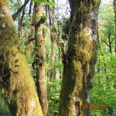 Review photo of Gales Creek Campground by Paul A., April 11, 2016