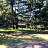 Review photo of Paradise Point State Park Campground by Corinna B., July 11, 2018