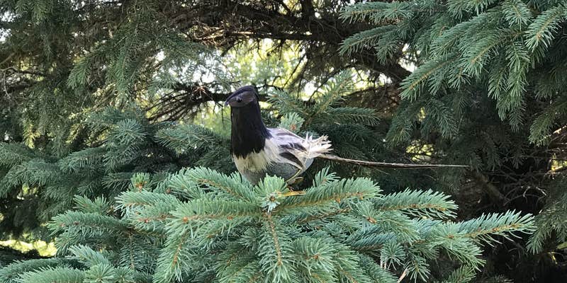 Camper submitted image from McGivern Park Campground