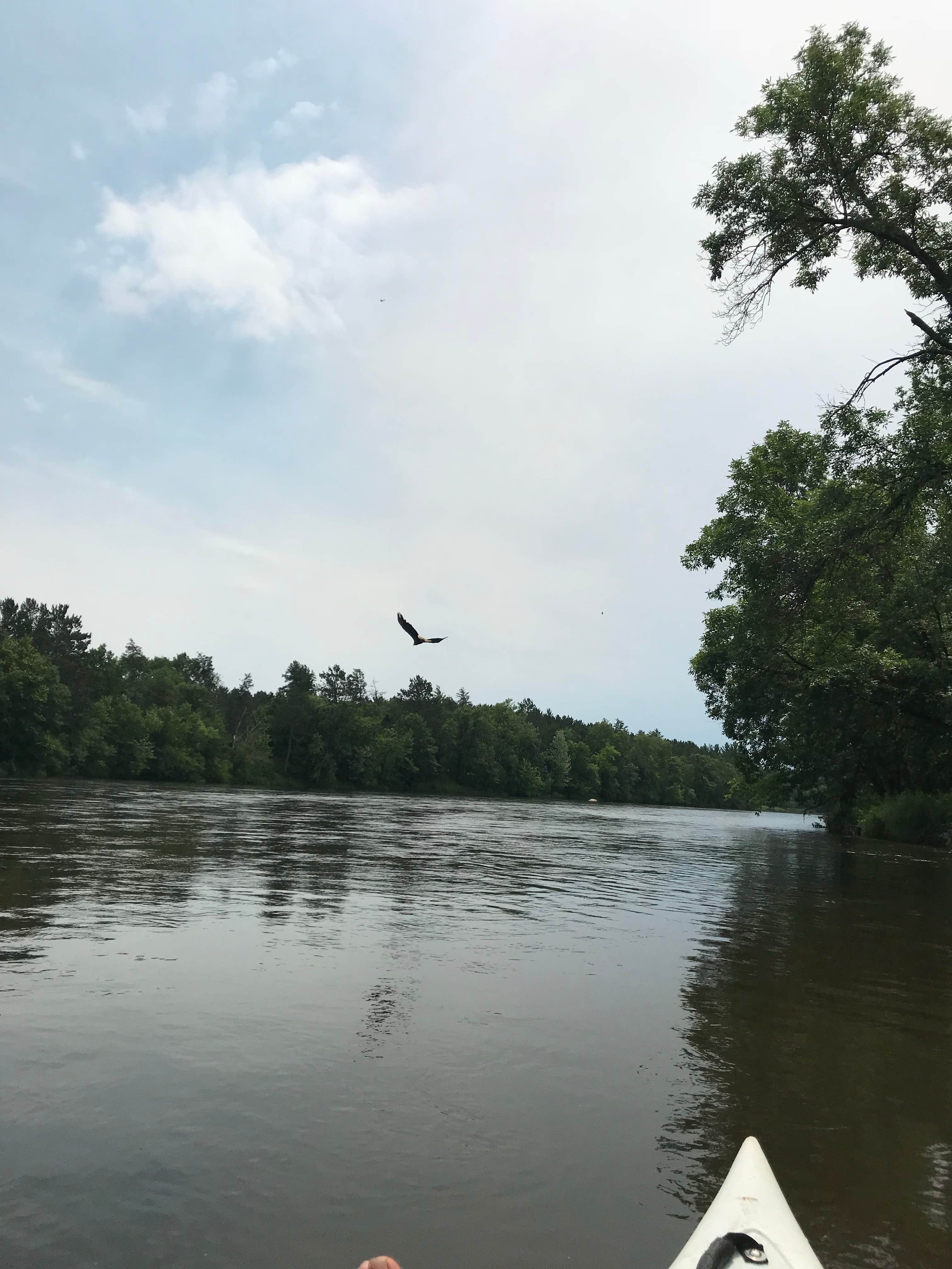 Camper-submitted photo at McGivern Park Campground near Wadena, MN