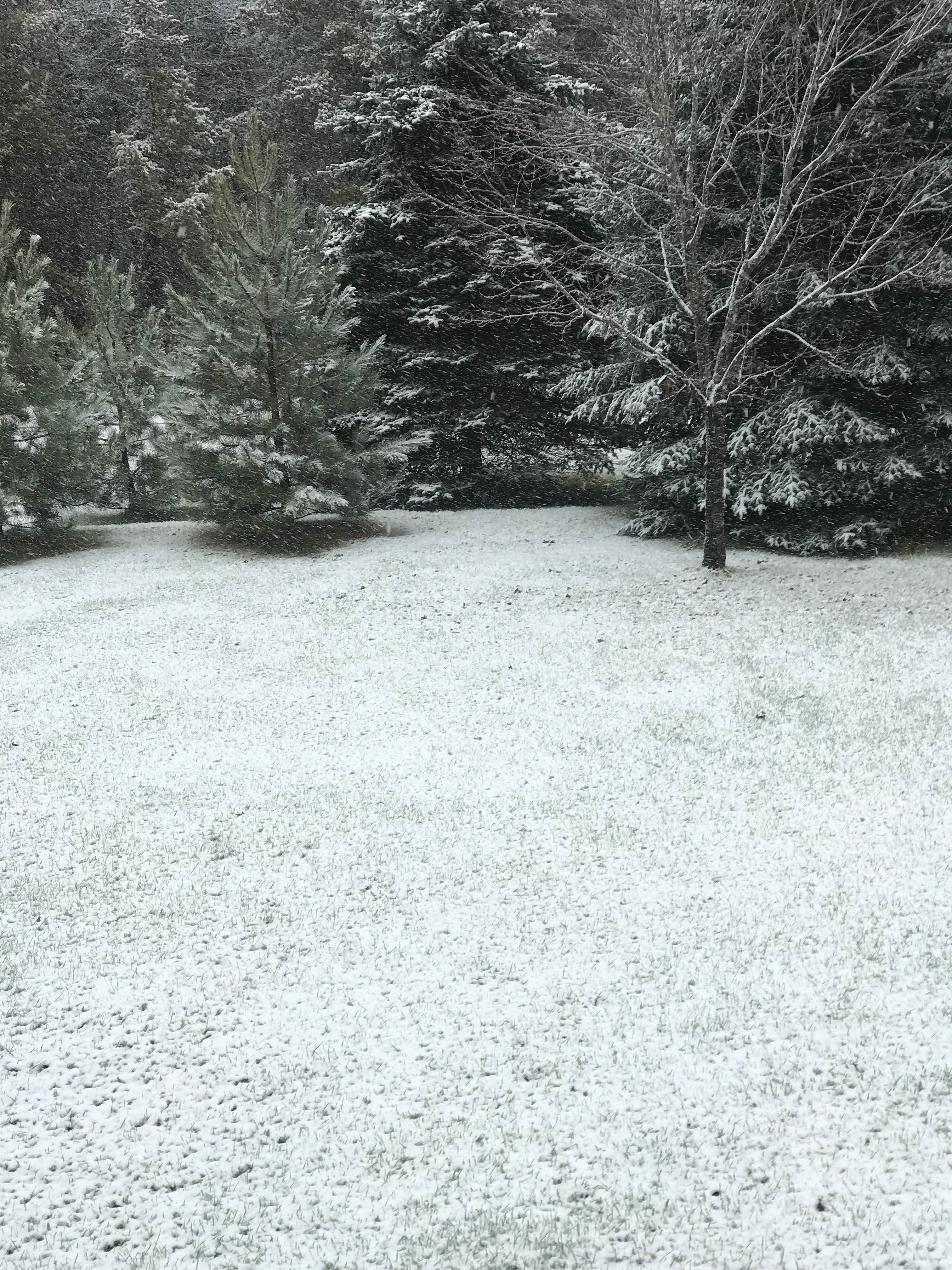 Camping near Shingobee Recreation Area: Foothills BLM, Hackensack, Minnesota