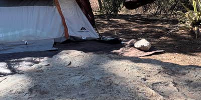Camping