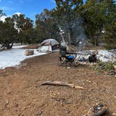 Review photo of Cedro Peak Camping Sites - Robin and Jay by Jacob S., March 12, 2022