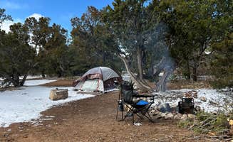 Jacob S.'s photo at Cedro Peak Camping Sites - Robin and Jay near Albuquerque, NM