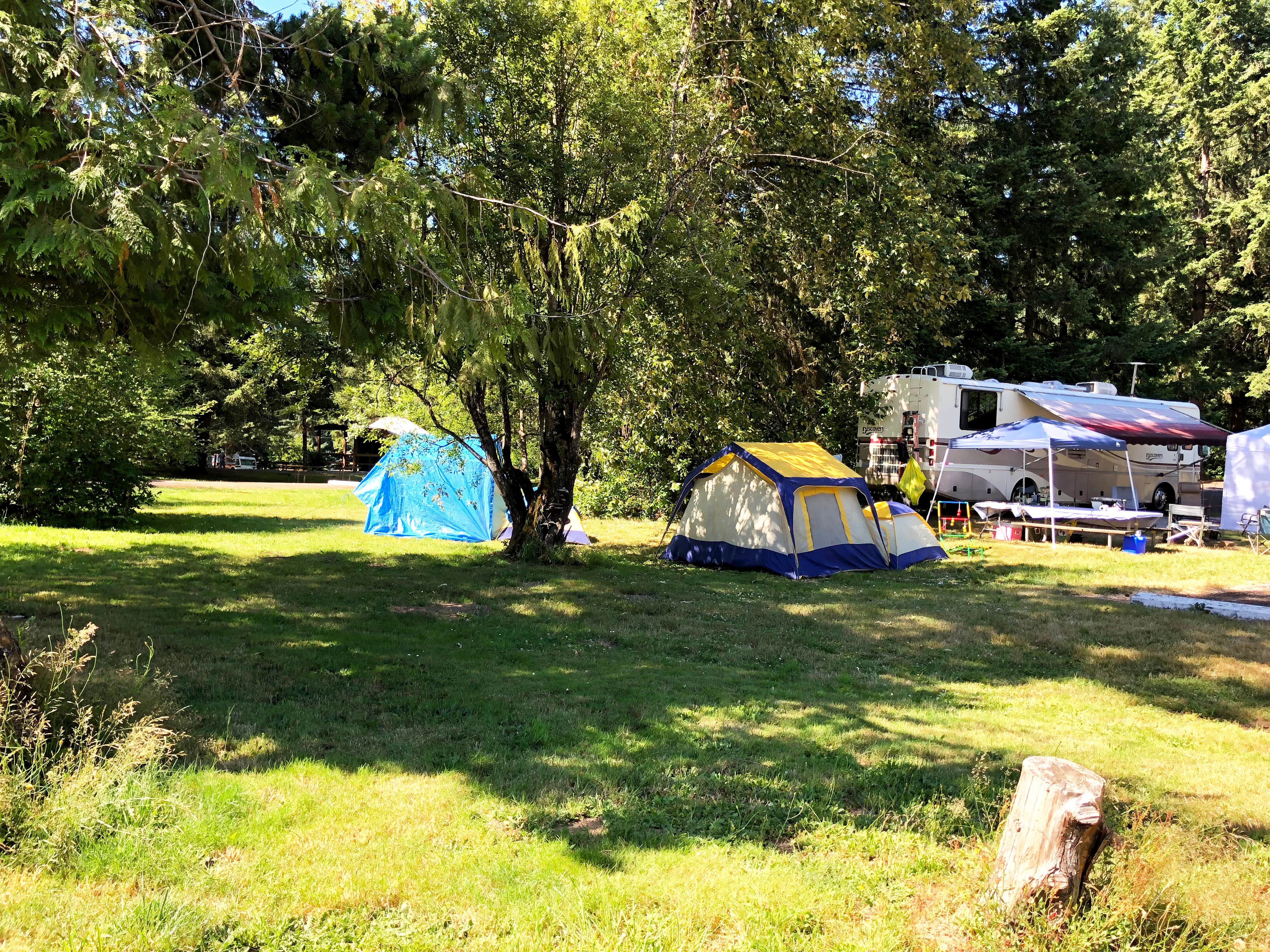 Corinna B.'s photo at Paradise Point State Park Campground near Yacolt, WA