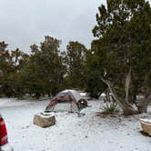 Review photo of Cedro Peak Camping Sites - Robin and Jay by Jacob S., March 12, 2022