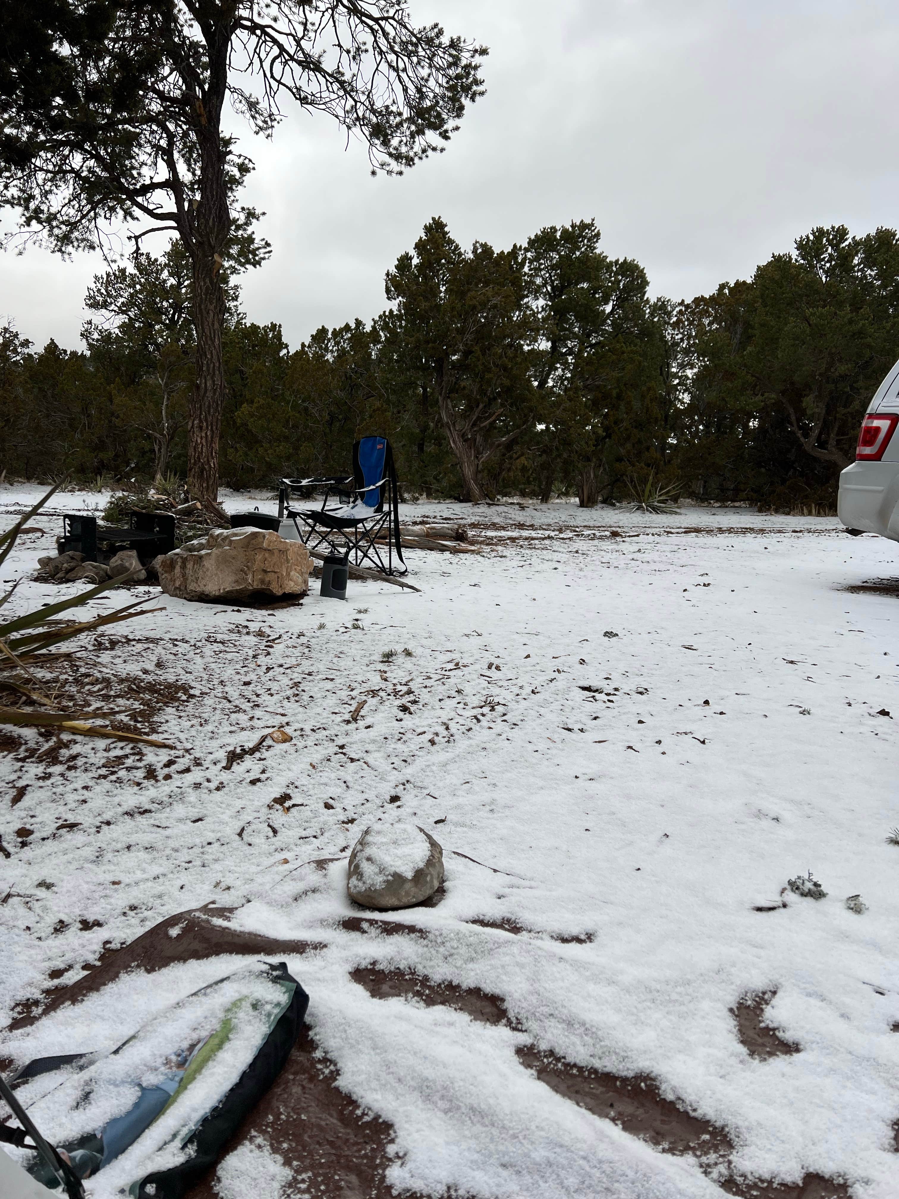 Jacob S.'s photo at Cedro Peak Camping Sites - Robin and Jay near Sandia Park, NM