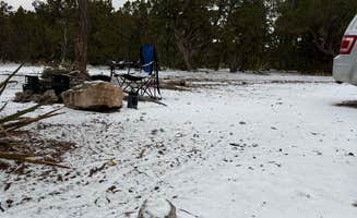 Jacob S.'s photo at Cedro Peak Camping Sites - Robin and Jay near Sandia Park, NM