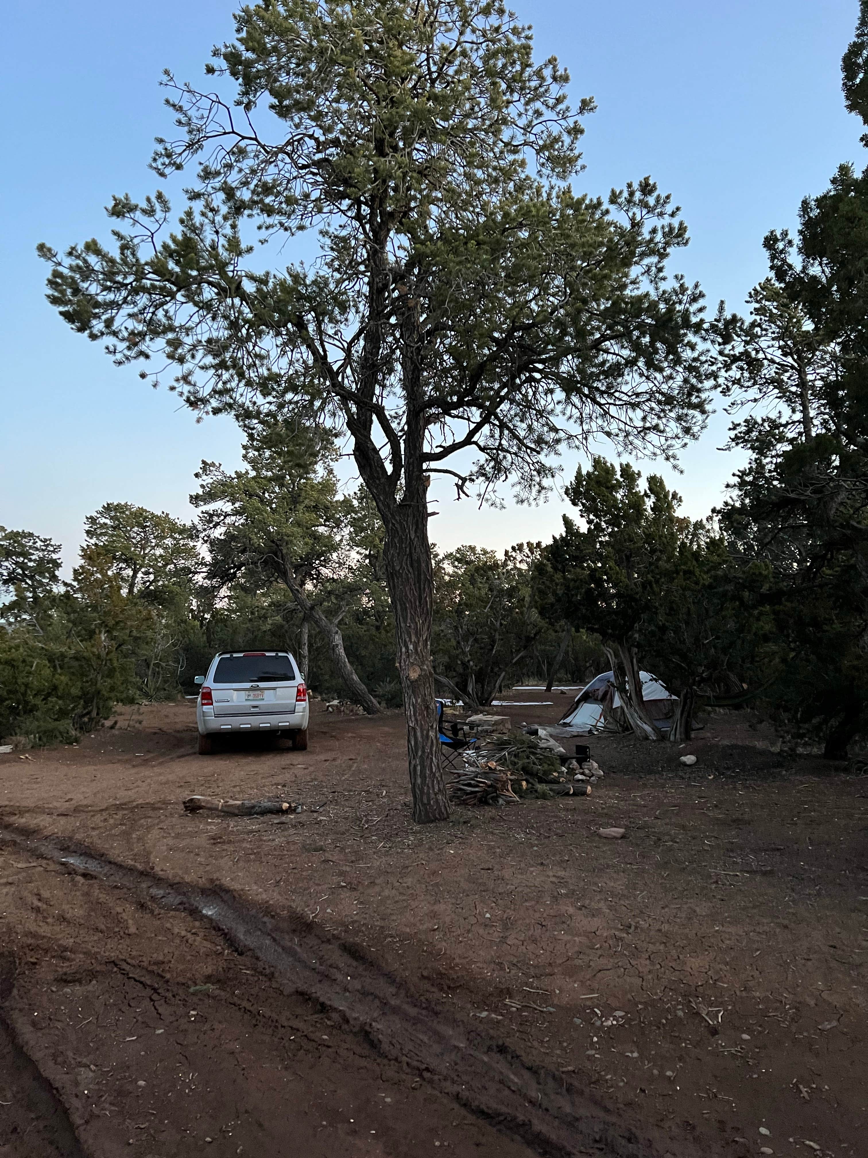 Jacob S.'s photo at Cedro Peak Camping Sites - Robin and Jay near Ponderosa, NM