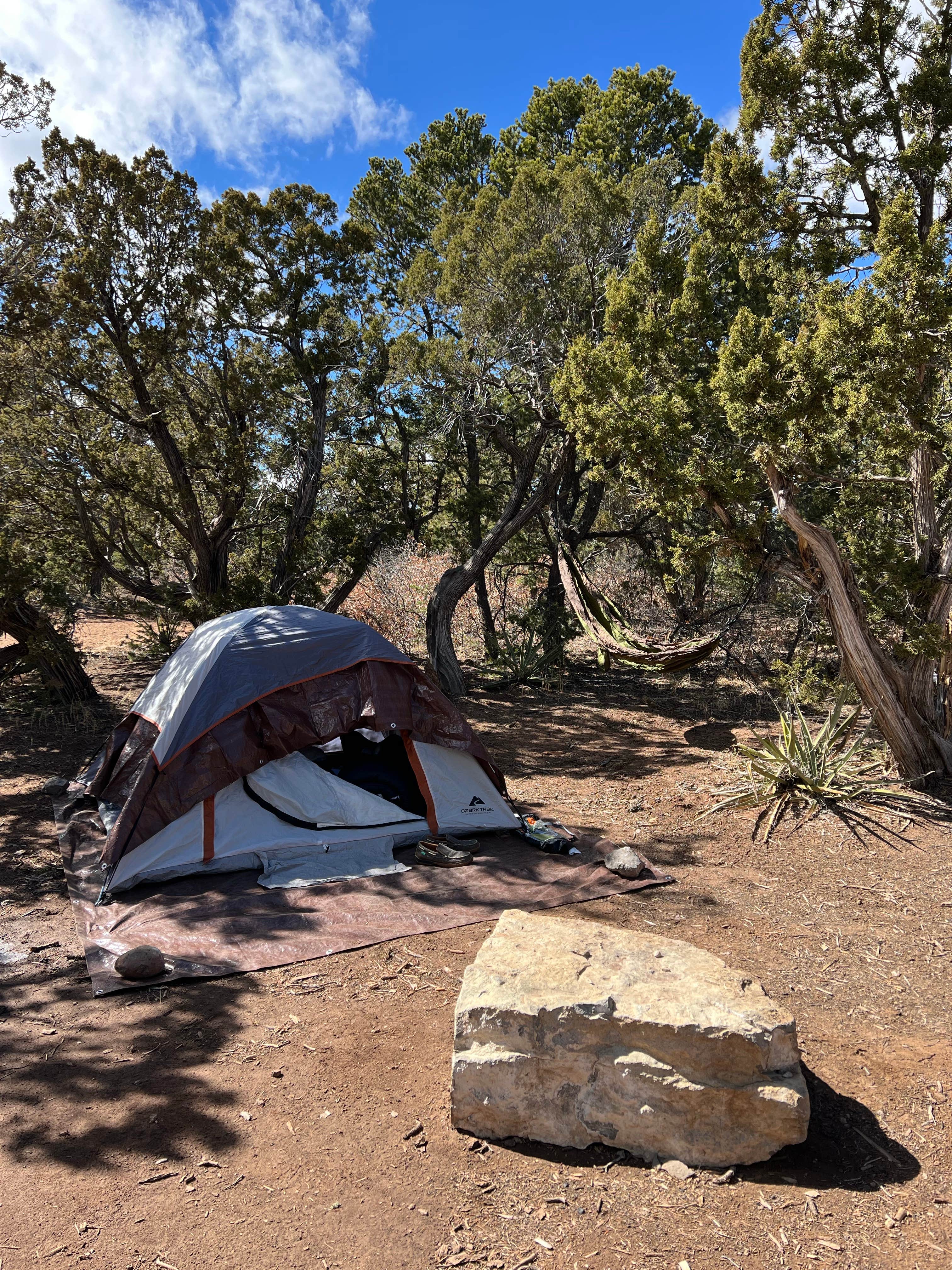 Jacob S.'s photo at Cedro Peak Camping Sites - Robin and Jay near Tijeras, NM