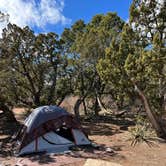 Review photo of Cedro Peak Camping Sites - Robin and Jay by Jacob S., March 12, 2022