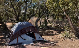Jacob S.'s photo at Cedro Peak Camping Sites - Robin and Jay near Tijeras, NM