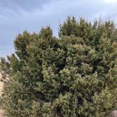 Review photo of Cheyenne Mountain State Park Campground by Jacob S., March 12, 2022