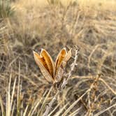 Review photo of Cheyenne Mountain State Park Campground by Jacob S., March 12, 2022