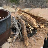 Review photo of Cheyenne Mountain State Park Campground by Jacob S., March 12, 2022