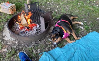 COD W.'s photo of camping with pets at Newton Hills Campground — Newton Hills State Park near Garretson, SD