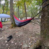 Review photo of Sohi Campground by Jenny C., March 12, 2022