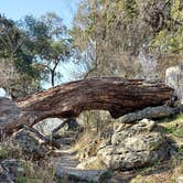 Review photo of Pedernales Falls State Park Campground by Rick P., March 12, 2022