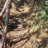 Review photo of Pedernales Falls State Park Campground by Rick P., March 12, 2022