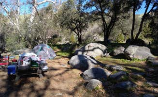 Lily S.'s photo at Leavis Flat Campground near Porterville, CA