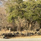 Review photo of Fort Richardson State Park Hist. Site and Trailway by Sidney R., March 12, 2022