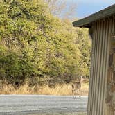 Review photo of Fort Richardson State Park Hist. Site and Trailway by Sidney R., March 12, 2022