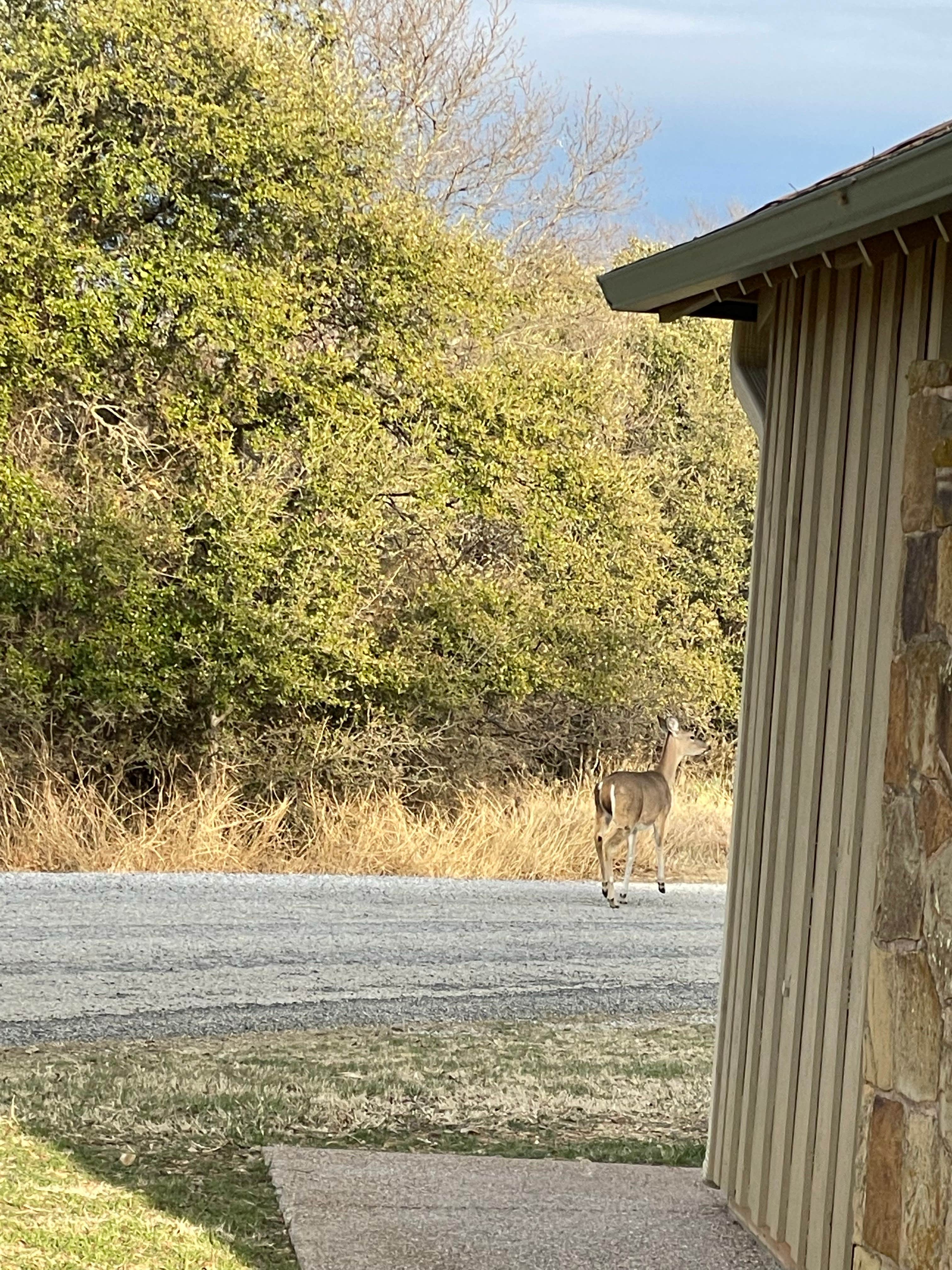 Camper submitted image from Fort Richardson State Park Hist. Site and Trailway - 4