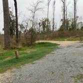 Review photo of Blue Hole Campground — Florida Caverns State Park by Sarah V., March 13, 2022