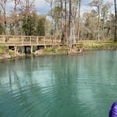 Review photo of Blue Hole Campground — Florida Caverns State Park by Sarah V., March 13, 2022