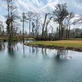 Review photo of Blue Hole Campground — Florida Caverns State Park by Sarah V., March 13, 2022