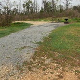 Review photo of Blue Hole Campground — Florida Caverns State Park by Sarah V., March 13, 2022