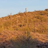 Review photo of Lost Dutchman State Park Campground by Elad L., March 13, 2022