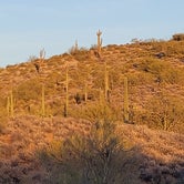 Review photo of Lost Dutchman State Park Campground by Dale L., March 13, 2022
