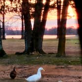 Review photo of Public Ramp 1 Titus County Freshwater Supply District by Luann K., March 6, 2022