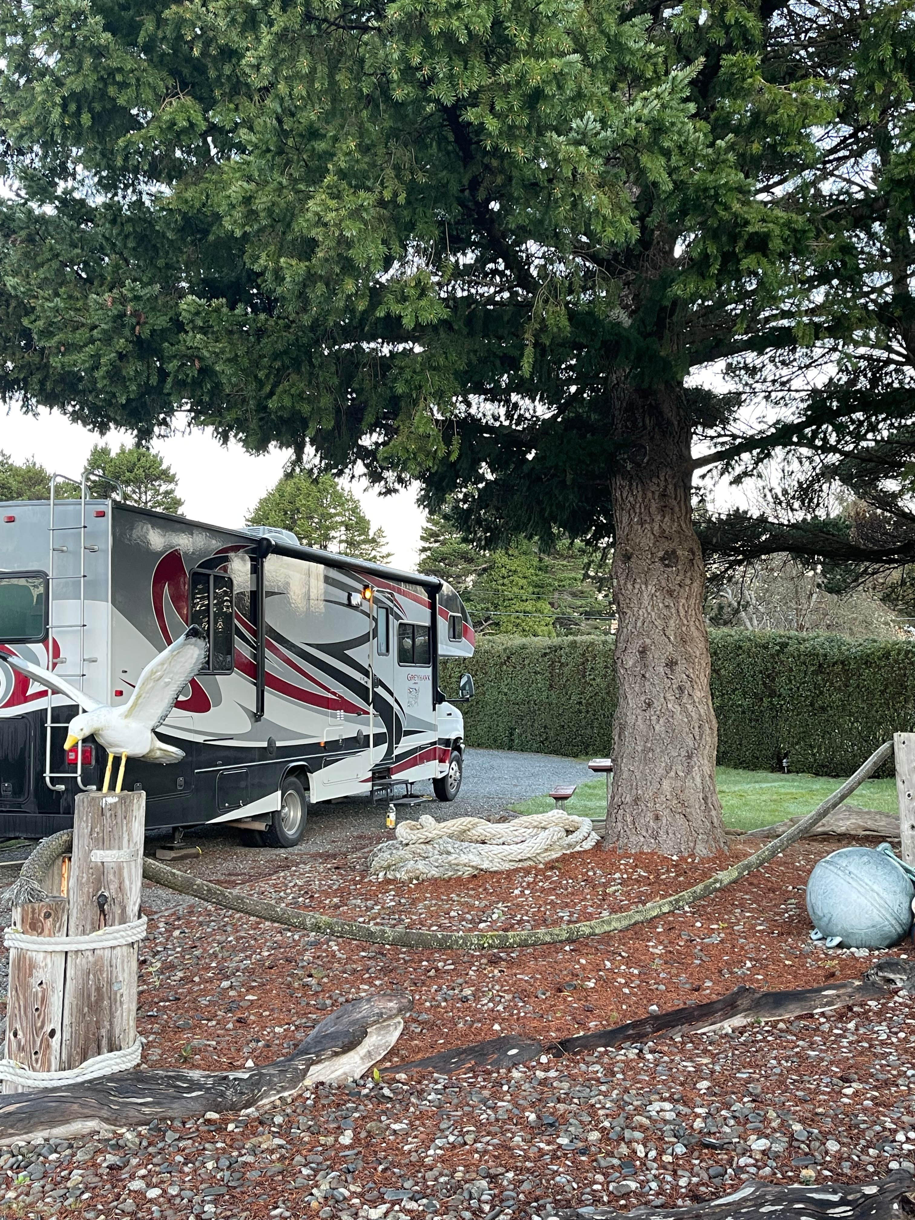 kelly N.'s photo of rv camping at Camp Blanco RV Park near Ophir, OR