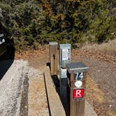 Review photo of Johnson Branch — Ray Roberts Lake State Park by Frank , March 13, 2022