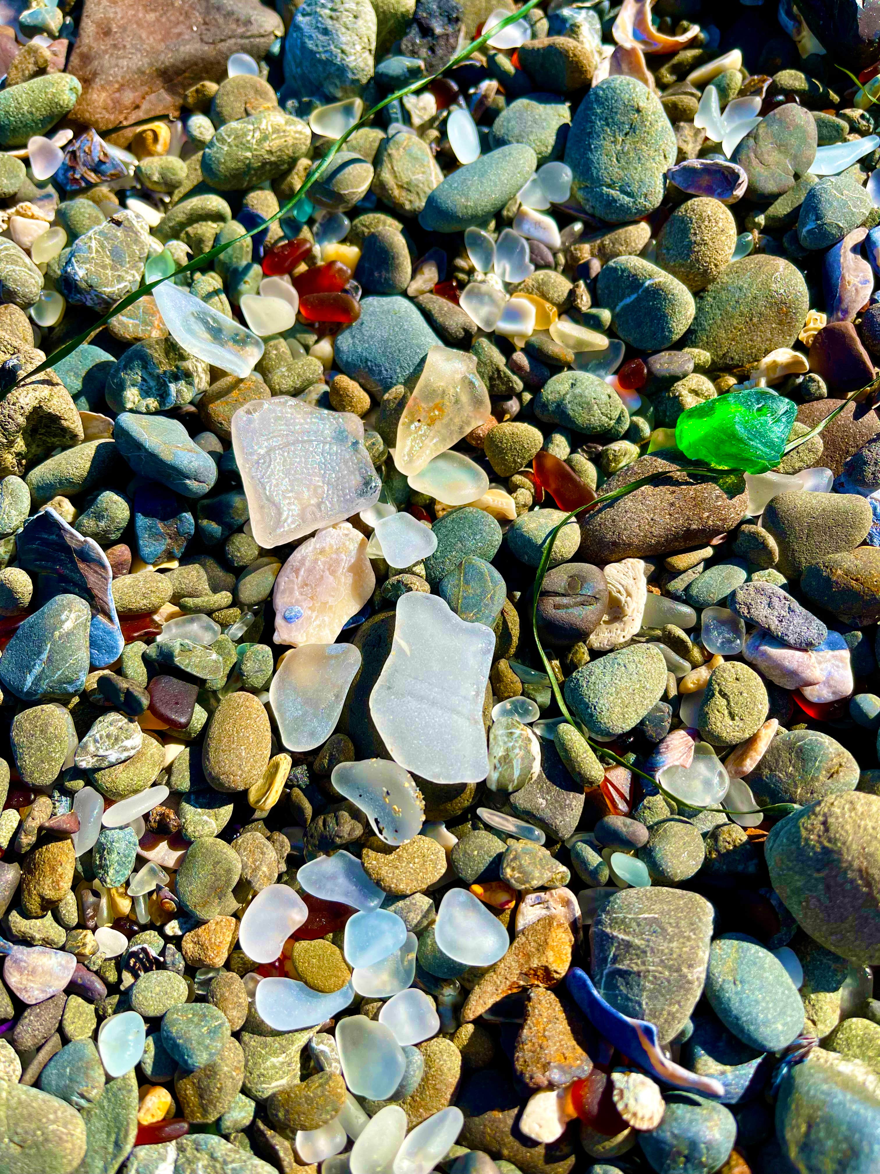 Camper-submitted photo at Harbor RV Park near Point Arena, CA