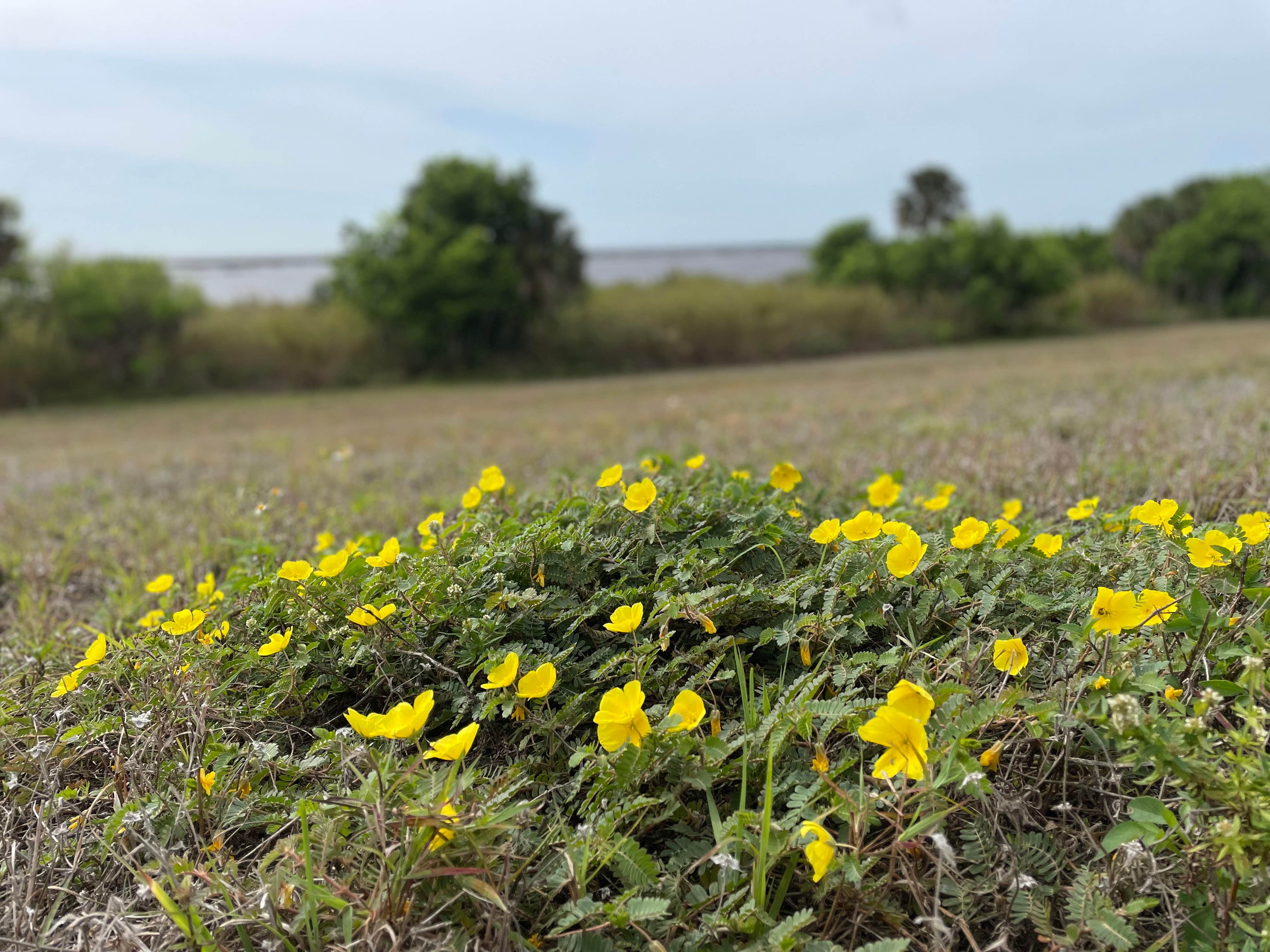 Camper-submitted photo at KOA Campground Okeechobee near Port St. Lucie, FL
